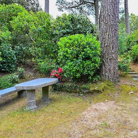 Majoa - 300m - Wifi - Jardin سانت-بريفين-لي-بان