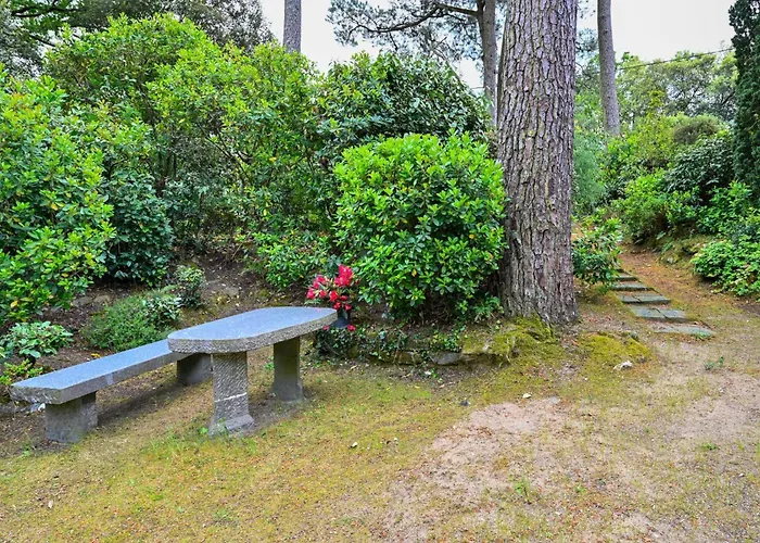 Majoa - 300m - Wifi - Jardin *